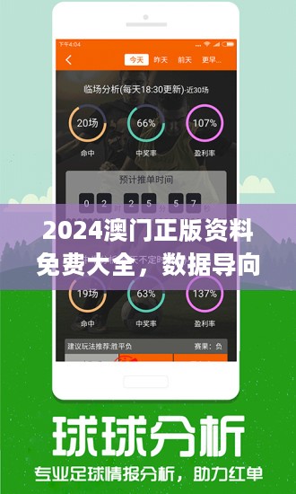 2024新澳開獎記錄,效率資料解釋落實_FT45.866