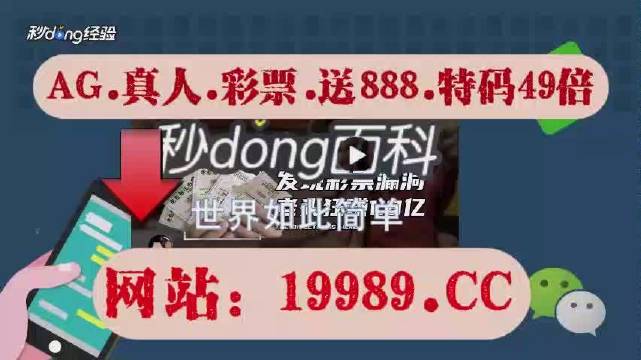 2024澳門天天開好彩大全正版,廣泛的解釋落實支持計劃_AR版91.682