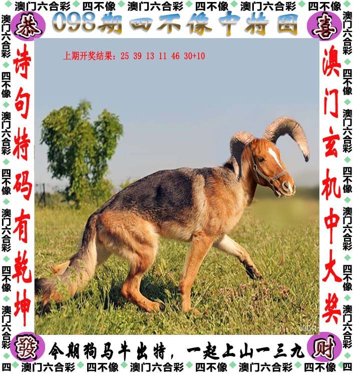 新澳2024今晚開(kāi)獎(jiǎng)資料四不像,決策資料解釋落實(shí)_戰(zhàn)斗版86.779